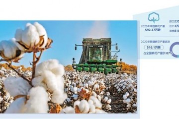 中国棉花稳产销树标准